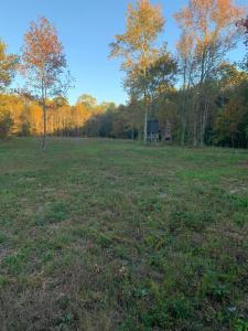 7.72 Ac 660 County Road 724, Bryant, Alabama 35958, Estados Unidos