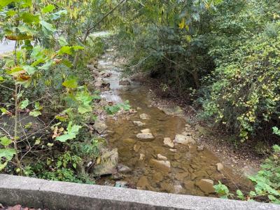 435 Simms Fork Road, Arjay, Kentucky 40902, HOA KỲ