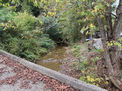 435 Simms Fork Road, Arjay, Kentucky 40902, HOA KỲ