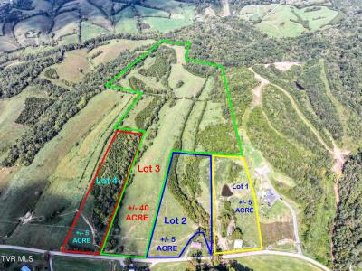 Lot 2 Union Road, Greeneville, 테네시 37745, 미국