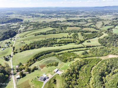 Lot 2 Union Road, Greeneville, Tennessee 37745, Amerika Birleşik Devletleri