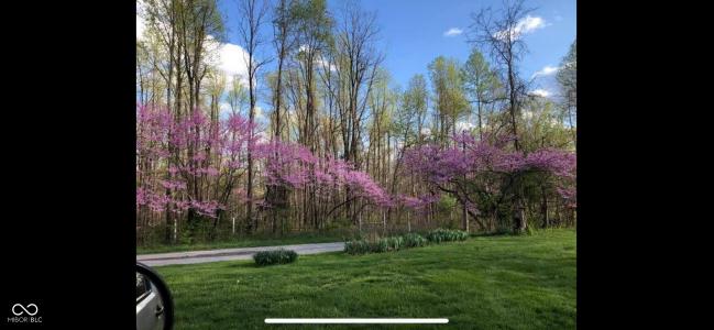 9700 N Bowman Road, Gosport, Indiana 47433, USA