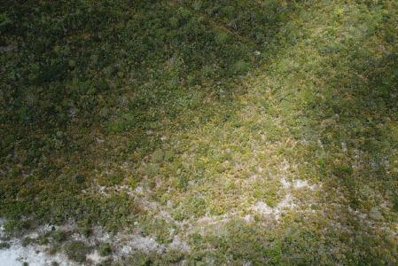 Large Parcel Vacant Land, North Caicos, Ilhas Turcos E Caicos