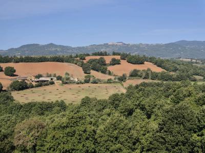 località cornacchiaio, Civitella Paganico, Toscana 58045, İtalya