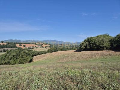 località cornacchiaio, Civitella Paganico, Toscana 58045, İtalya