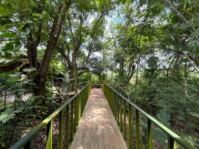  , Puntarenas Puntarenas, Puntarenas 00001, Costa Rica