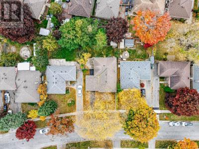 11 VALIA ROAD, Toronto (west Hill), Ontario M1E 3V9, Canada