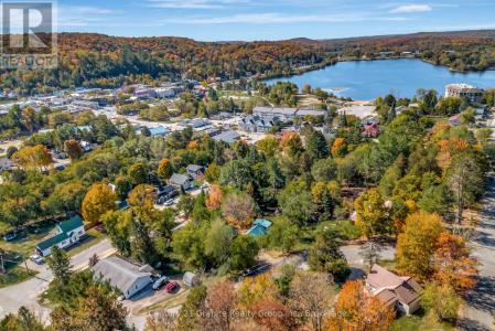 91 PINE AVENUE, Dysart Et Al (dysart), אונטריו K0M 1S0, קנדה 