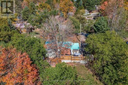 91 PINE AVENUE, Dysart Et Al (dysart), אונטריו K0M 1S0, קנדה 