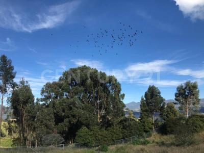 Sopo, Cundinamarca 00001, Colombie