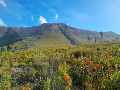 Joubertina, Eastern Cape, 남아프리카
