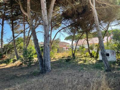 Sesimbra, Setubal 2925-054, Portugal