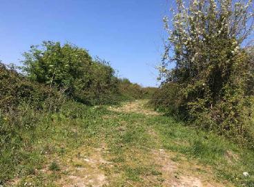 Asturias, Principado De Asturias 33394, Spain