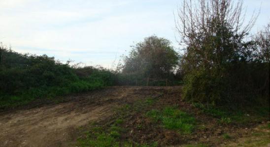 Asturias, Principado De Asturias 33394, Spain