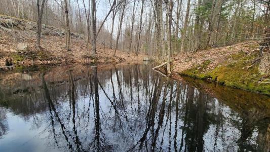 Rue du Sentier-du-Bouleau, Sainte-Marguerite-du-Lac-Masson, 魁北克省 J0L 1L0, 加拿大