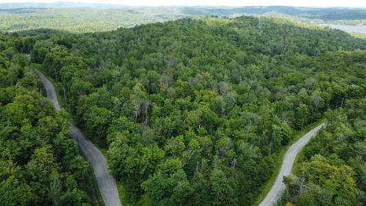 Rue du Sentier-du-Bouleau, Sainte-Marguerite-du-Lac-Masson, 魁北克省 J0L 1L0, 加拿大