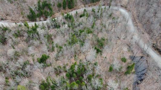 Rue du Sentier-du-Bouleau, Sainte-Marguerite-du-Lac-Masson, 魁北克省 J0L 1L0, 加拿大