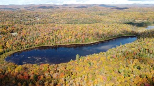 Rue du Sentier-du-Bouleau, Sainte-Marguerite-du-Lac-Masson, 魁北克省 J0L 1L0, 加拿大