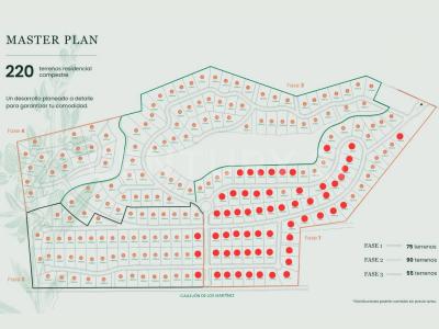 Allende, נואבו לאון 67374, מקסיקו 