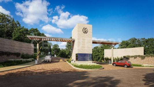 Allende, נואבו לאון 67374, מקסיקו 