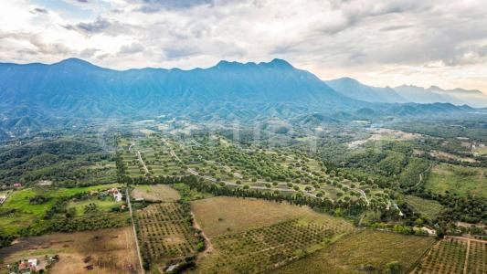 Allende, נואבו לאון 67374, מקסיקו 