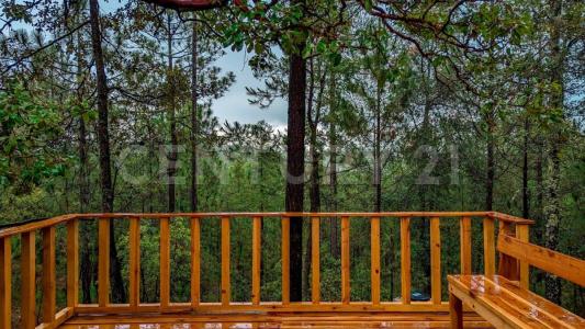 San isidro s/n 34950 El Salto, Dgo. México 209,, Pueblo Nuevo, Durango 34950, Mexico