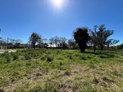 Concepcion arenal 6400, Mar Del Plata, Buenos Aires Costa Atlántica 7600, Argentina