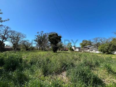 Concepcion arenal 6400, Mar Del Plata, Buenos Aires Costa Atlántica 7600, Argentina