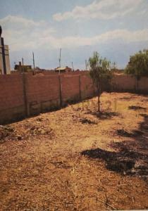 ZONA TUSCAPUJYO DISTRITO SACABA, LAVA LAVA , Este, Cochabamba 0000, Bolivia