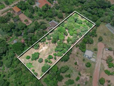 Urbanización Villa Bonita, Puerto Ichilo , Urubo, Santa Cruz 0000, Bolivia