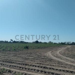 COTOCA   UV 200 MZ 56D LOTE 13 AVENIDA CAÑOTO , Norte, Santa Cruz 00001, 玻利维亚