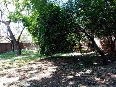 Sur, Santa Cruz 00001, Bolivia