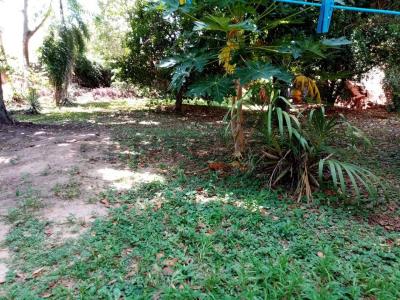 Sur, Santa Cruz 00001, Bolivia