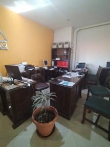 Este, Cochabamba 00001, Bolivie