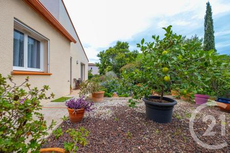 Perpignan, Languedoc-Roussillon 66000, Francia