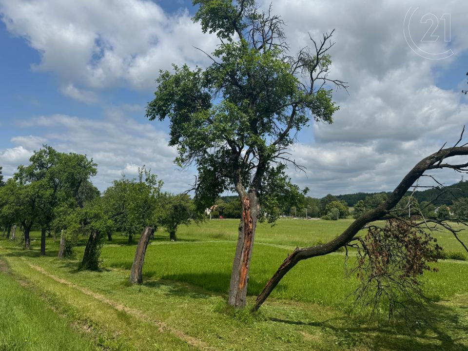 Libníkovice, Hradec Králové 100 00, Repubblica Ceca