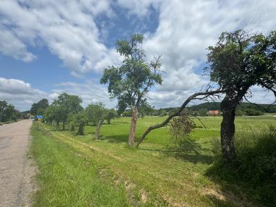Libníkovice, Hradec Králové 100 00, Repubblica Ceca