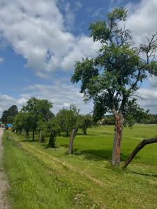 Libníkovice, Hradec Králové 100 00, Repubblica Ceca