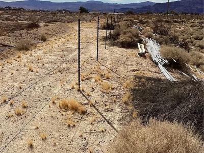 34805 Newberry Rd., New Berry Springs, Califórnia 92365, Estados Unidos