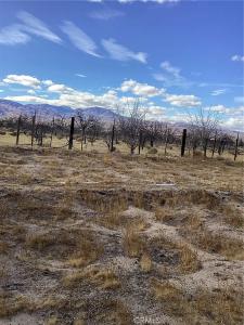 41854 Silver Valley Rd., New Berry Springs, California 92365, Stati Uniti