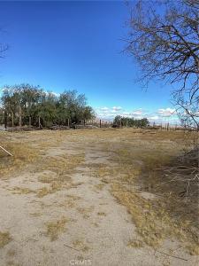 41854 Silver Valley Rd., New Berry Springs, California 92365, Stati Uniti