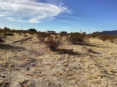 42979 Mandrill St, Newberry Springs, California 92365, Stati Uniti