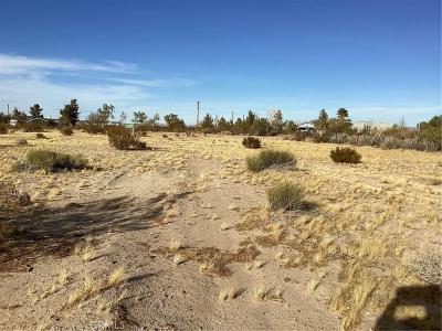 42979 Mandrill St, Newberry Springs, California 92365, Stati Uniti