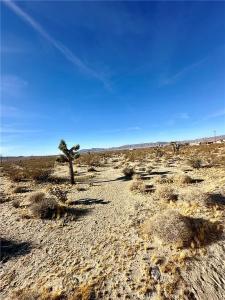 0 Visalia Ave., Lucerne Valley, كاليفورنيا 92356, الولايات المتحدة