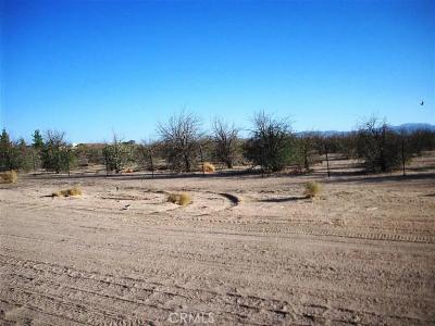 45527 Twin Lakes Dr, Newberry Springs, California 92365