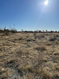 0 Pinon Hills, Pinon Hills, 加利福尼亚州 92372, 美国