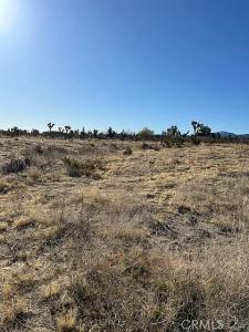 0 Pinon Hills, Pinon Hills, 加利福尼亚州 92372, 美国