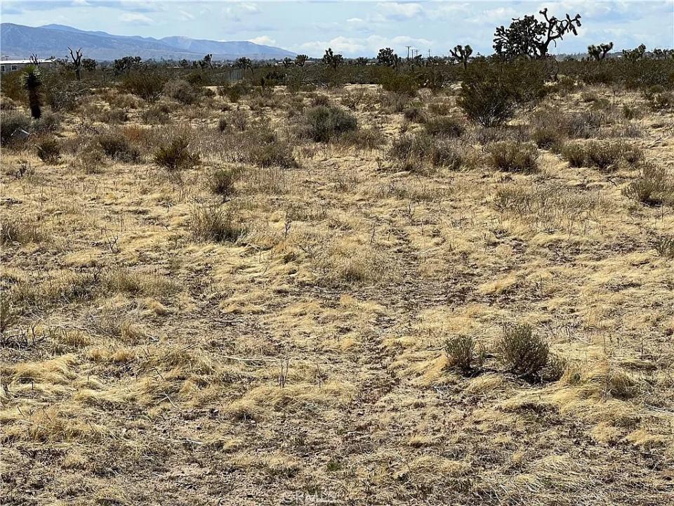 0 Rochester Rd, Phelan, Californie 92370, États-Unis