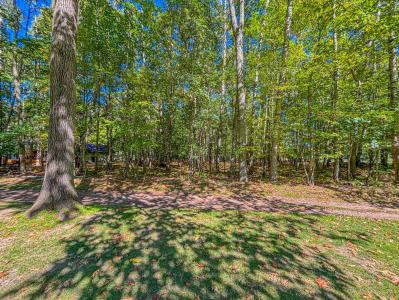 9861 Sunset Drive, Canadian Lakes, Michigan 49346, USA