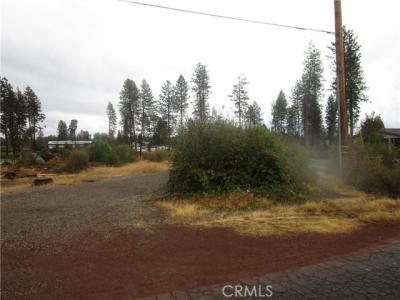 1409 Andrea Lane, Paradise, California 95969